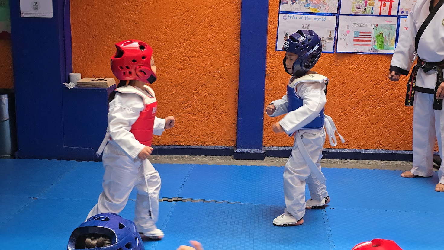 Taekwondo en el Colegio Nueva Era Americano